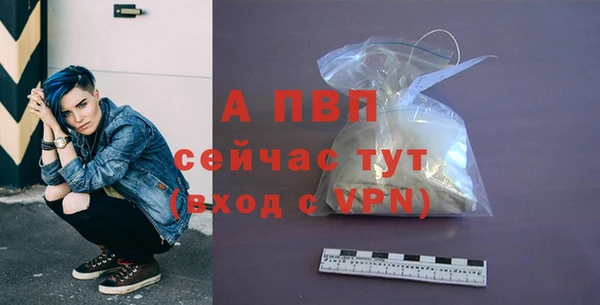 индика Беломорск